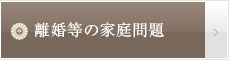 離婚等の家庭問題