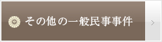 その他一般民事事件